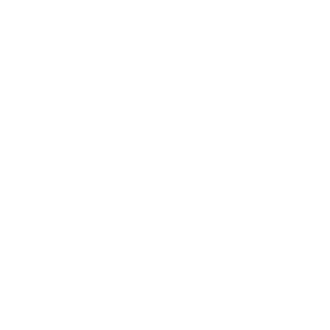 L i n z a